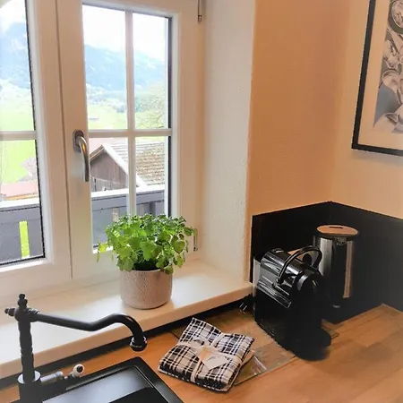 Apartment Haus Montana *