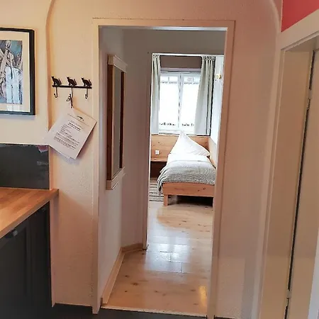 Haus Montana Apartment