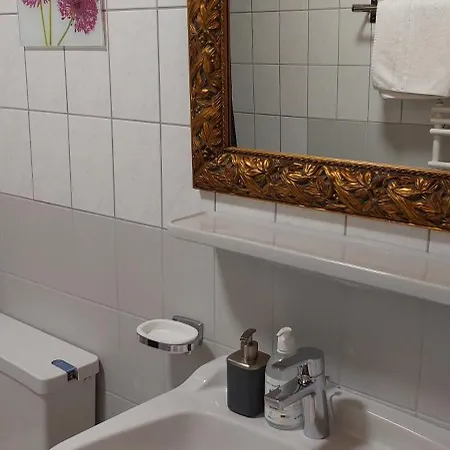 Haus Montana Apartment *