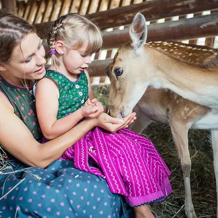 Haus Montana Διαμέρισμα *
